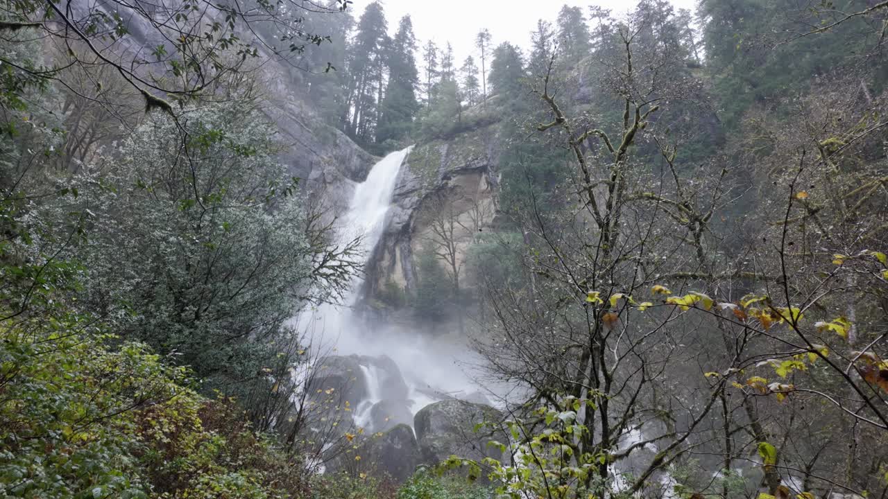 estados unidos, o, coos bay, golden falls, 2024-11-24 - cascada en el área natural del estado de golden y silver falls después de fuertes lluvias