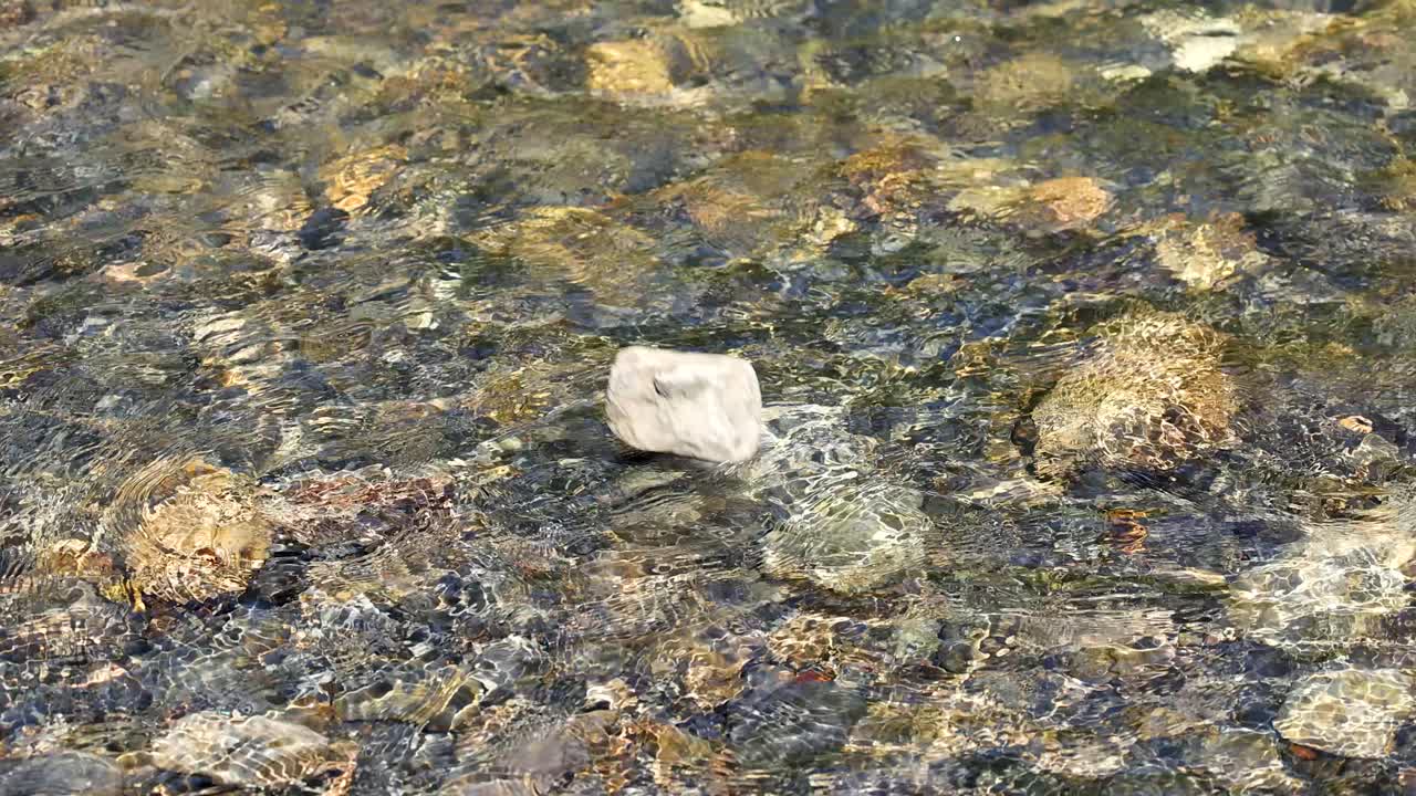 A rock is thrown into a clear, shallow stream, causing a dramatic splash and ripples