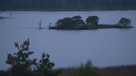 Time-lapse-of-moody-day-with-island-and-trees-in-middle-of-lake