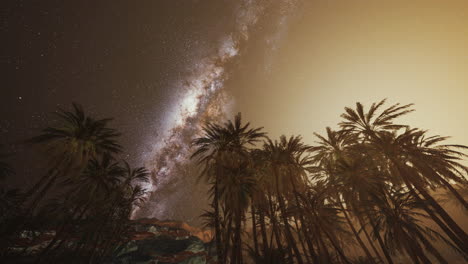 the milky way rises over plam trees
