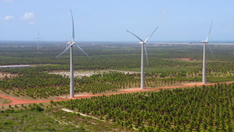 Aerial-view-of-wind-fan-in-the-middle-of-a-green-area-of-palm-trees,-Ceara,-Brazil