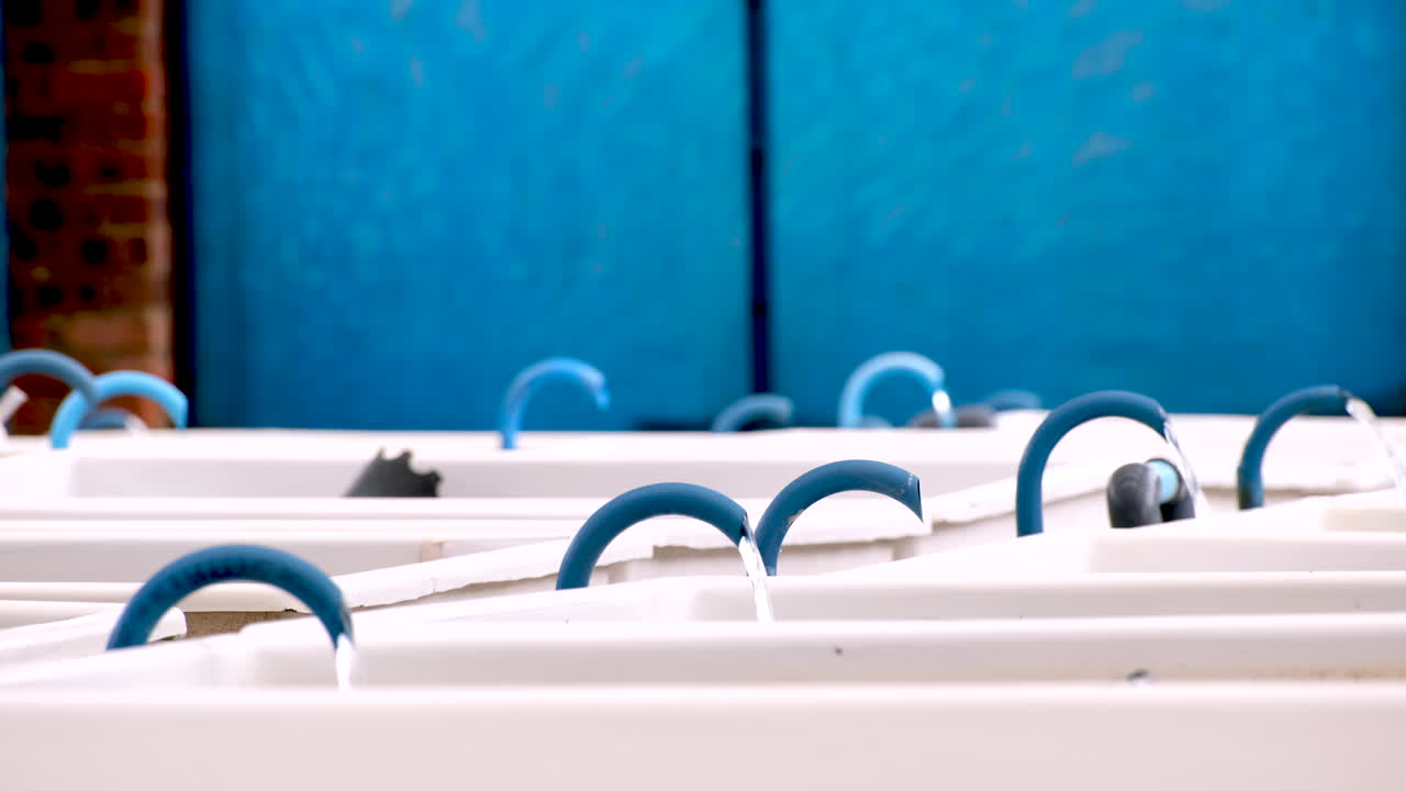 Seawater flows into white tanks housing abalone to be sold in commercial market