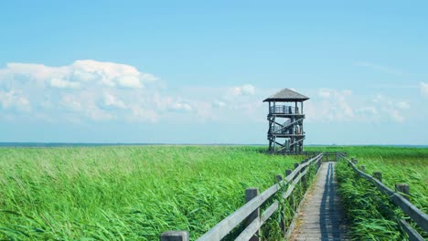 Time-lapse-of-beautiful-white-fast-moving-clouds-and-sky-at-footbridge-path-and-birdwatching-tower-at-lake-Liepaja-reed-field-in-sunny-summer-day,-wide-shot