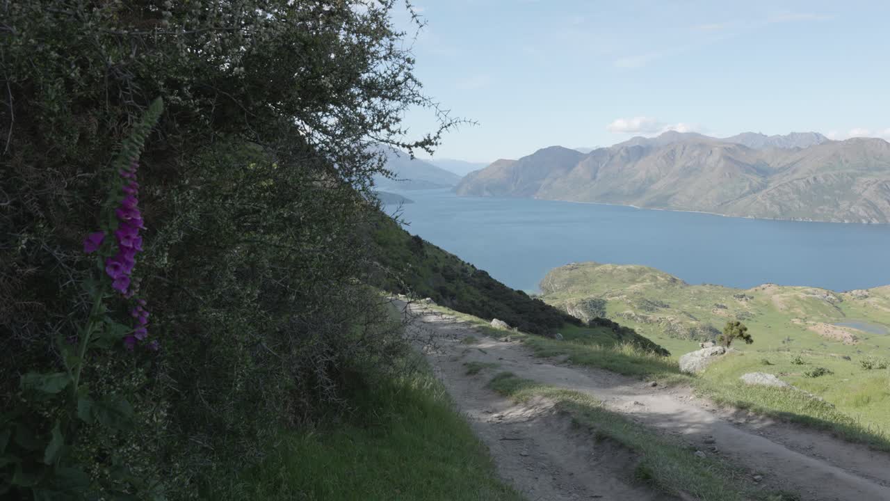 Stunning Lake and Mountain View from a Hillside Trail