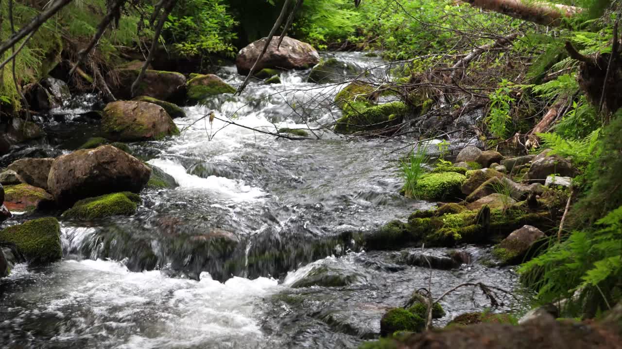 Medium full shot of small end rocky stream from Njupeskär waterfall, covered with lush green vegetation, at Fulufjället National Park in Särna, Sweden