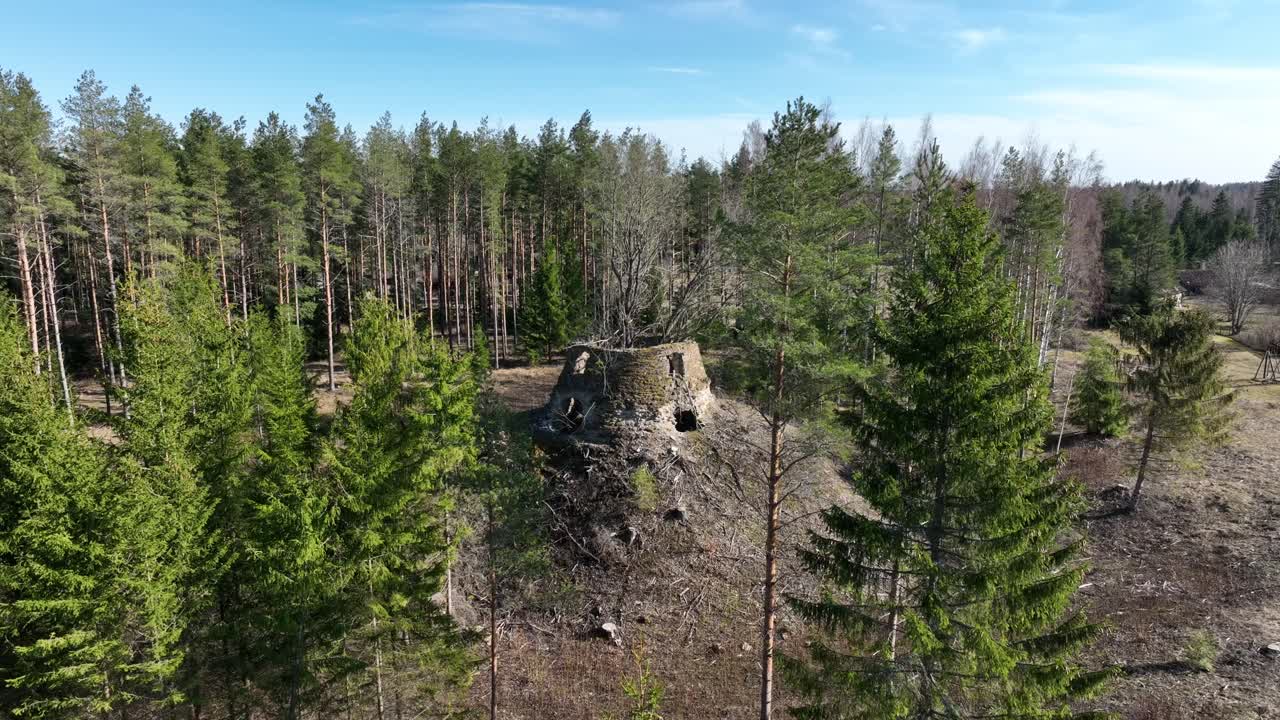 ruinas de un antiguo molino de viento de tipo holandés con árboles que crecen en el interior en el pueblo de samma, estonia.