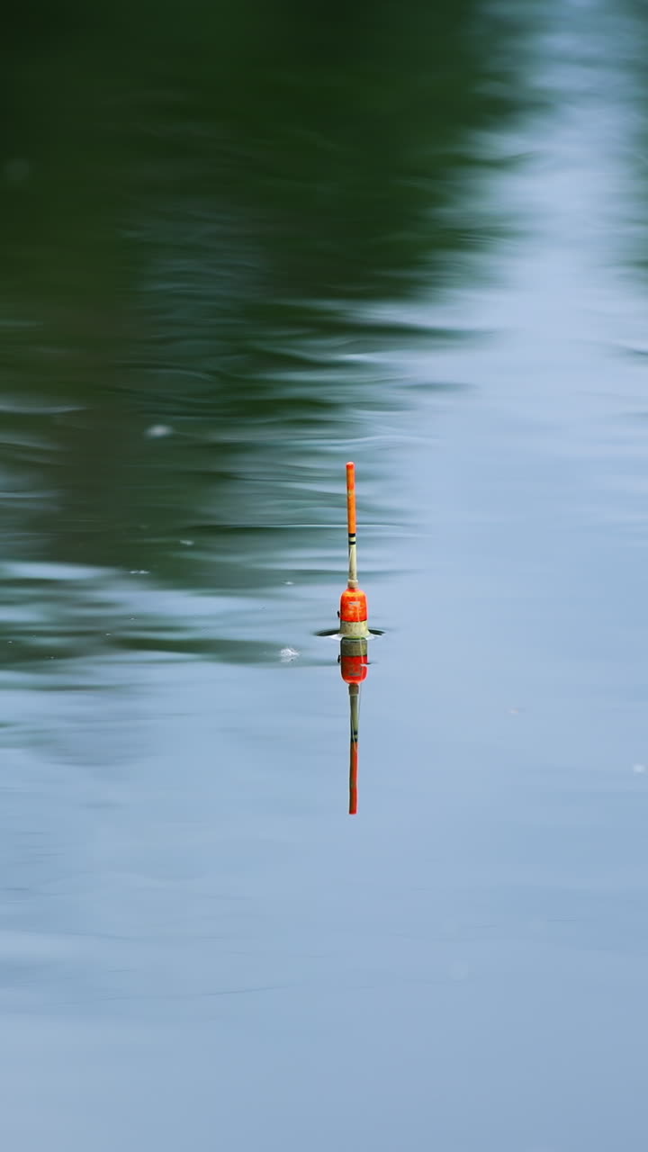White and orange fishing bobber floating in the river. Unmoving float on still water on cloudy day. Vertical video