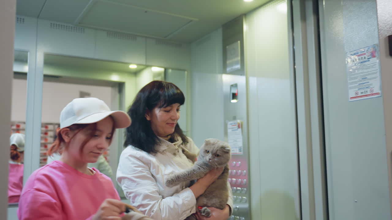 Lady Gently Holds Feline Nearby, Resident Woman Peacefully Grasps Her Cat Near Apartment Postal Area, Woman In City Calmly Holds Her Feline Companion Near Mail Station Outside Her Residence