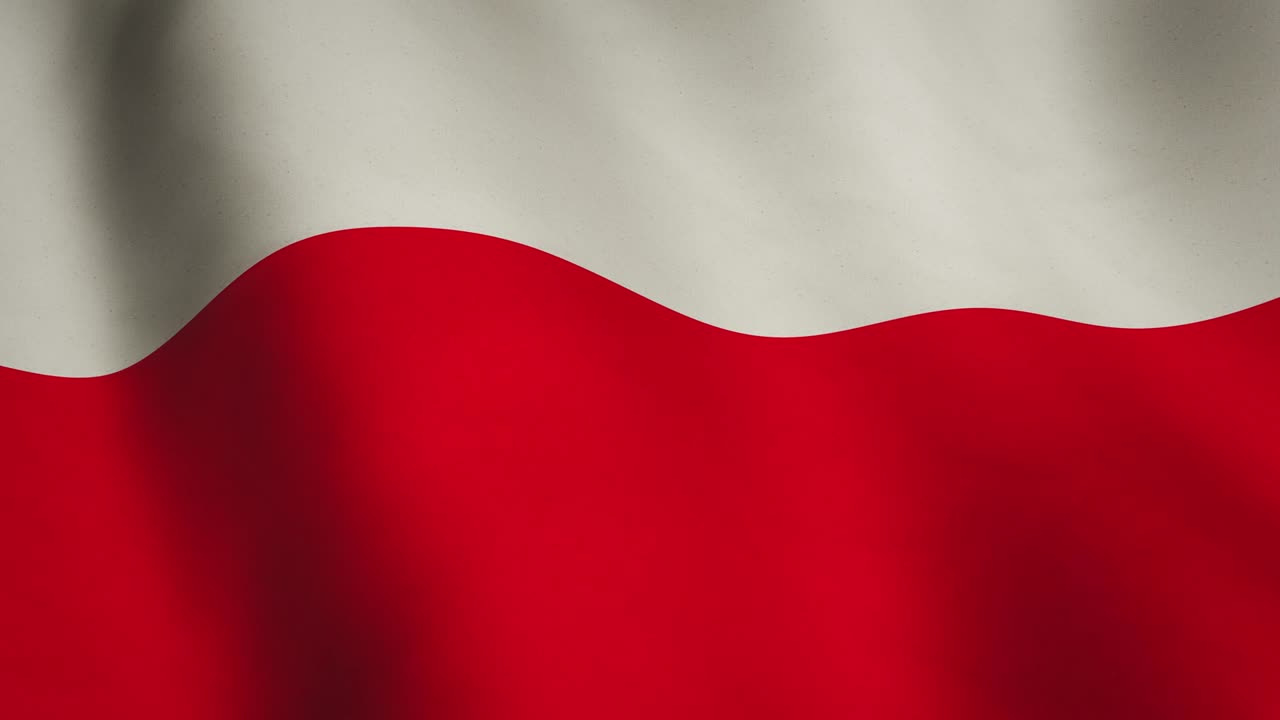 폴란드 배경에 흔들리는 발은 애국적 자부심을 의미합니다. - 비디오 애니메이션 루프