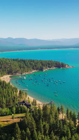 amazingly turquoise color of the lake tahoe with lots of boats at the shore. resort area locating in the pine tree forest. mountains surrounding the lake. vertical video