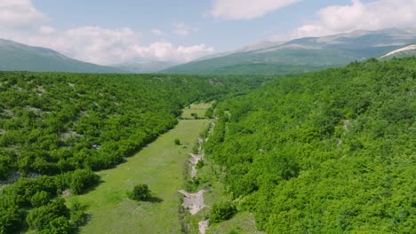 un fiume asciutto vuoto in un paesaggio forestale verde in croazia, aereo