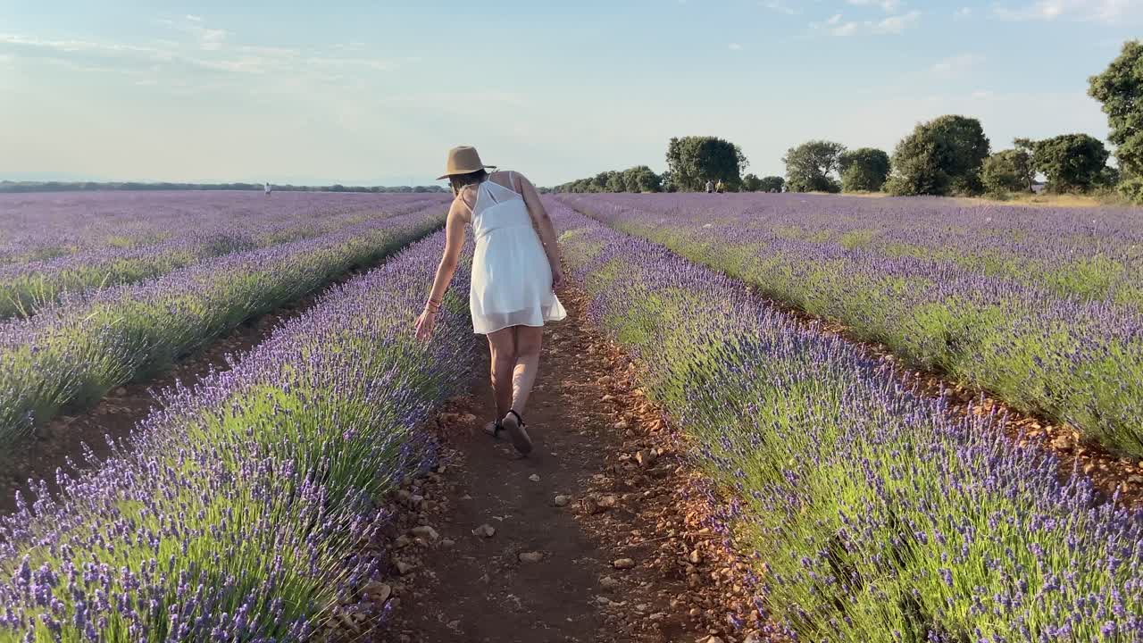 Lonely country girl enjoying summer in a lavender field in sunny weather