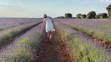 lonely country girl enjoying summer in a lavender field in sunny weather