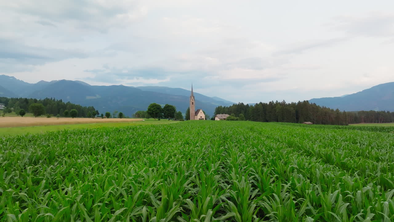 Saint Valentine Church near maize agricultural fields of Pfalzen Falzes, Dolomites, Sliding shot