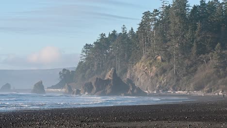 aerial drone shot of a rugged pacific northwest beach with waves crashing below cliffs lined with evergreen forest