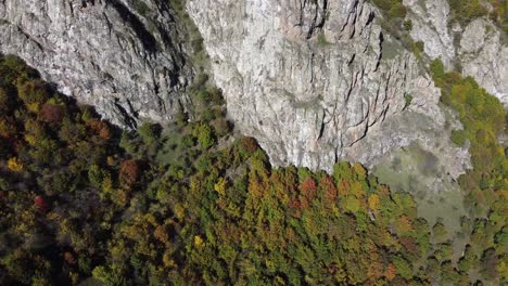 Goldene-Herbstlaubbäume-Am-Berghang-Unterhalb-Einer-Steilen-Felsklippe