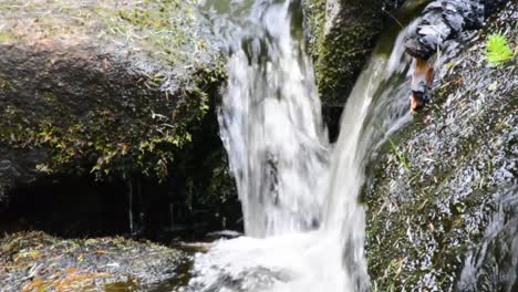 Stream-Water-Flowing-Peacefully-Over-Mossy-Rocks-Close-Up