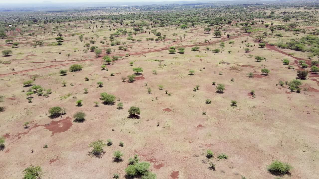 Africa Village-Vista aerea-Vista da drone del deserto africano di Loitokitok con alberi e arbusti verdi