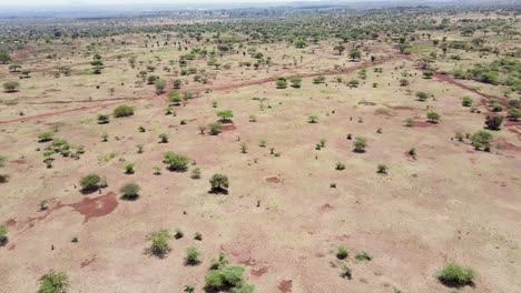 África-Aldea-vista-Aérea-vista-De-Drones-Del-Desierto-Africano-De-Loitokitok-Con-árboles-Y-Arbustos-Verdes