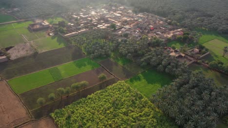 4k aerial drone footage approaching rural village amongst woodland and farm fields in countryside, khairpur sindh pakistan