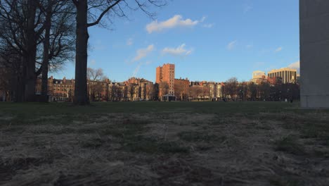 boston commons in january 2025