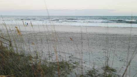 Couple-walking-at-beach-during-sunset-with-sea-oats-in-the-foreground