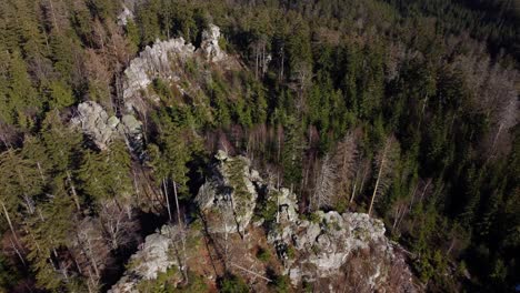 rocks in the middle of a forested protected area