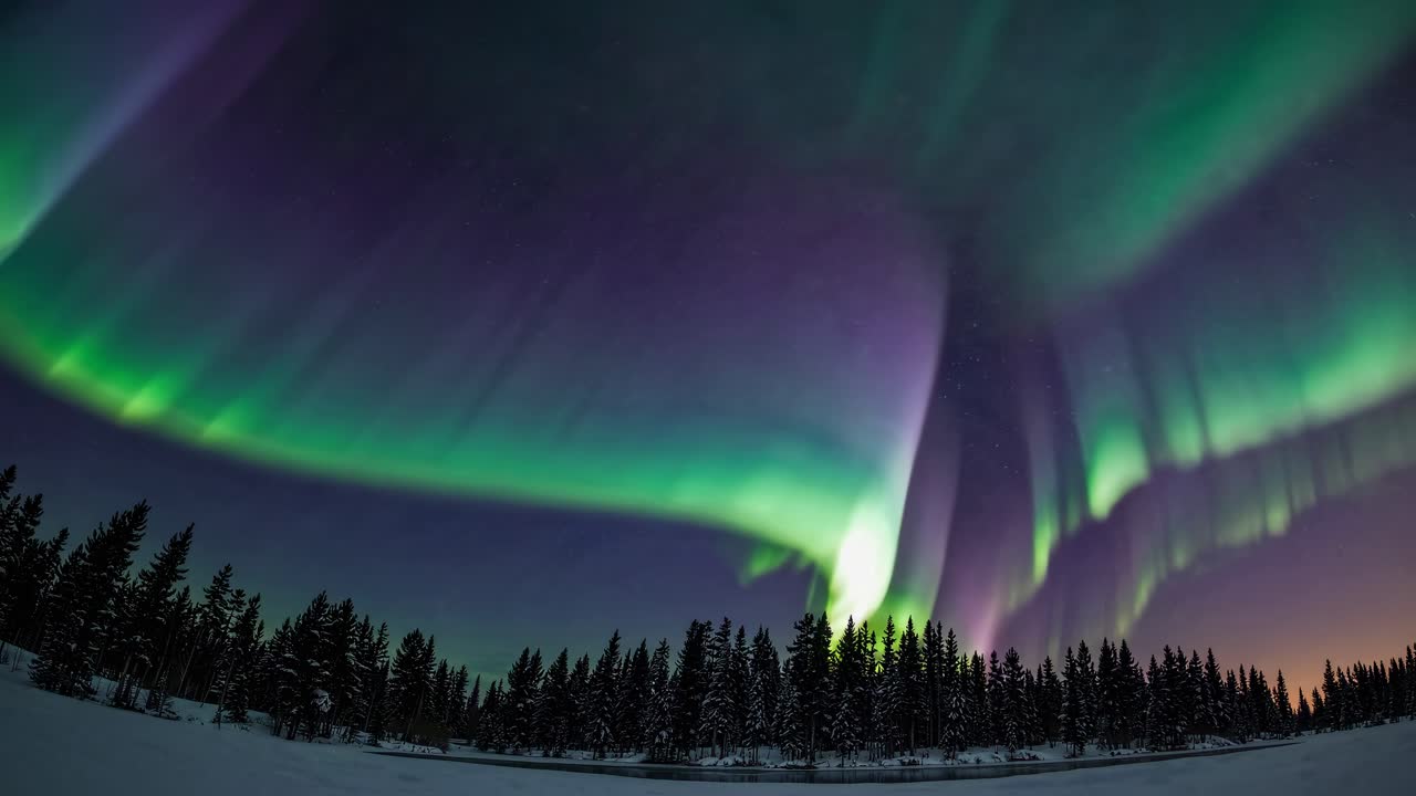 Un affascinante video grandangolare cattura l'aurora boreale che danza su una foresta innevata