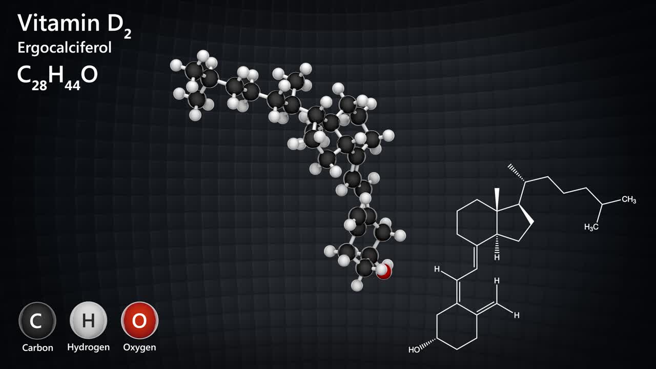 비타민 d2 (에르고칼시페롤)