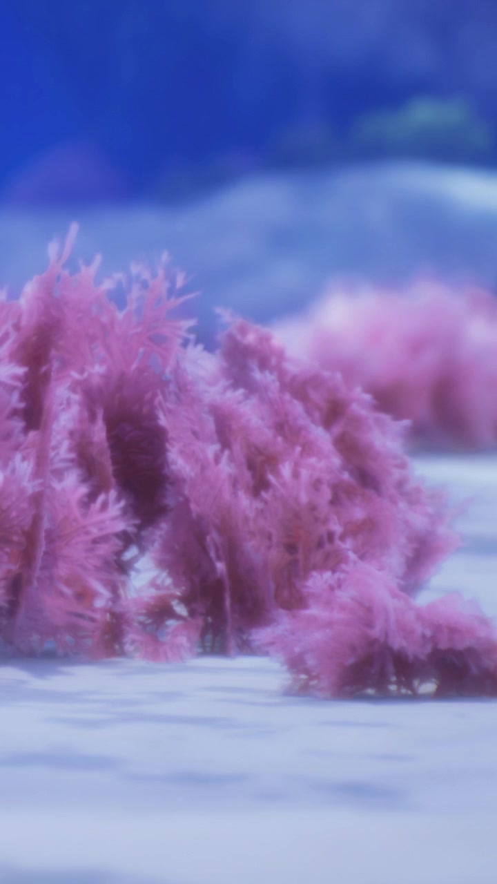Formazioni coralline sul fondale oceanico sott'acqua in un ambiente marino