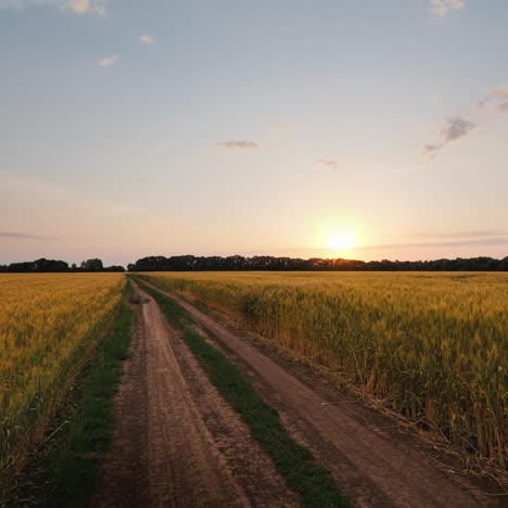 road to the field of wheat against the background of a dramatic storm sky