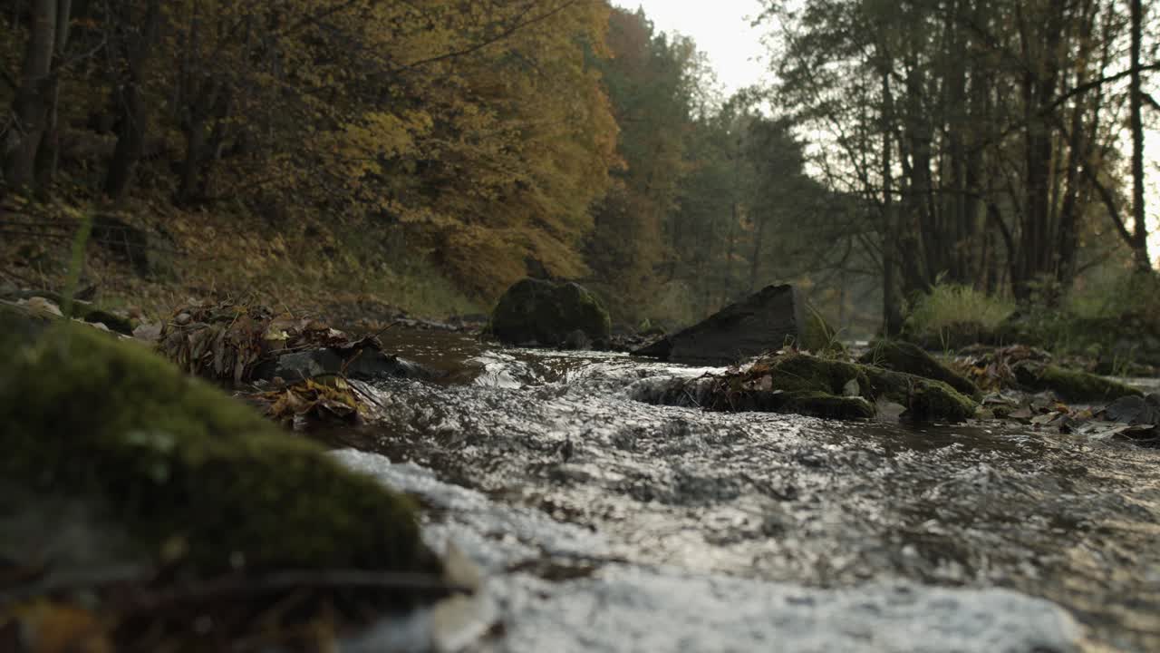 Low angle pan shot of natural stream flowing downhill in forest during autumn season
