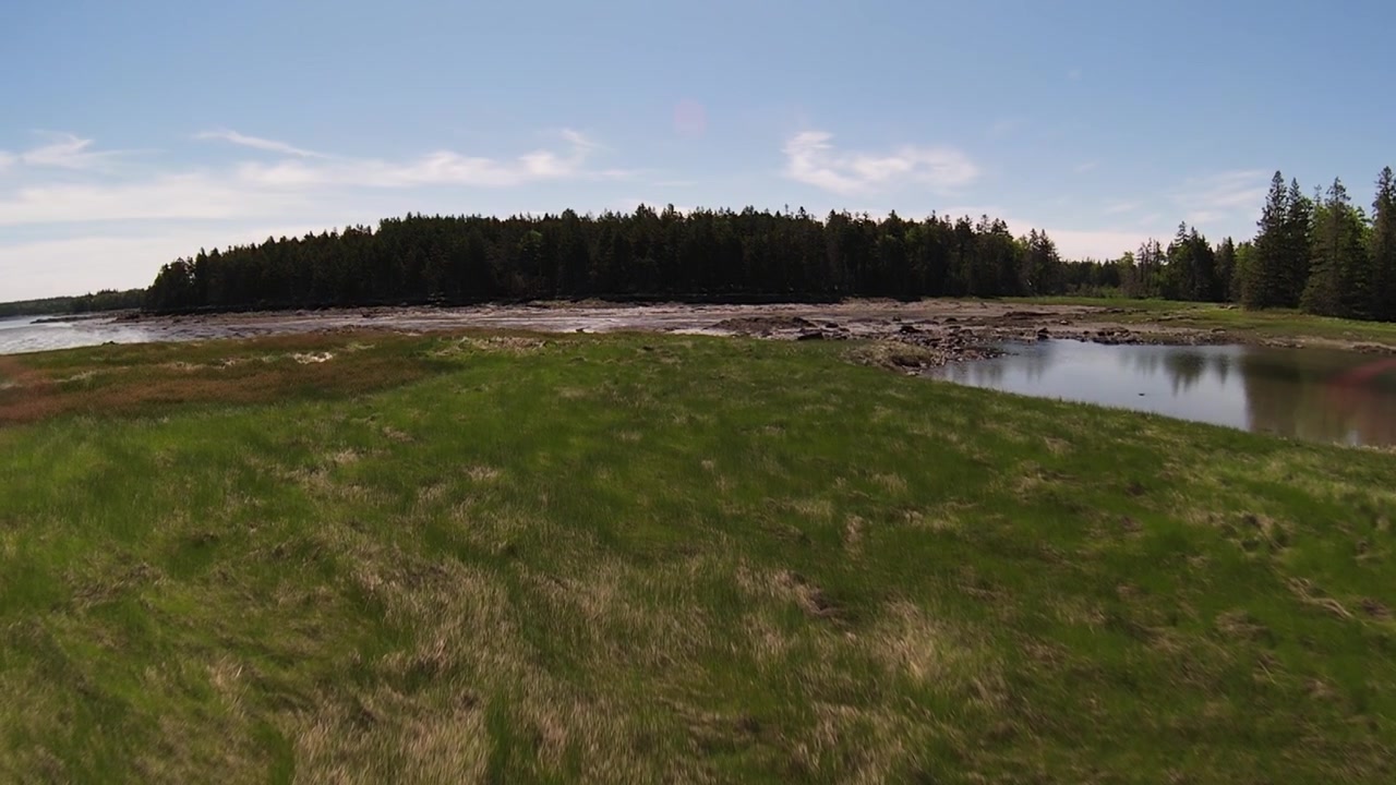 Filmato drone fluido al rallentatore della costa del Maine che sorvola rigogliosi campi d'erba verdi costieri con la bassa marea che espone distese rocciose, umide e sabbiose.