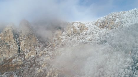 winter mountain landscape with fog and frost