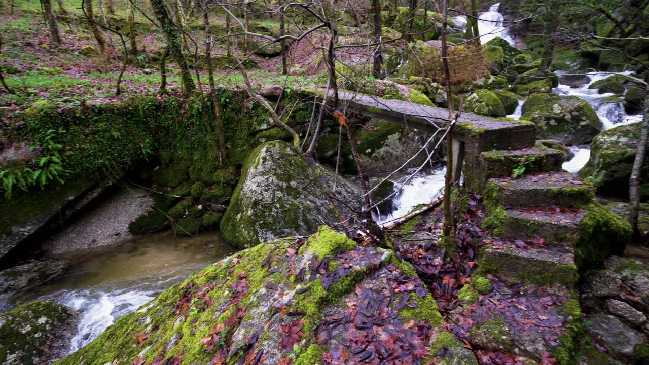 un arroyo rústico entre el follaje de musgo en barrias, felgueiras, portugal - vista panorámica