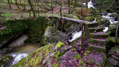 Arroyo-Rústico-En-Medio-De-Follaje-Cubierto-De-Musgo-En-Barrias,-Felgueiras-Portugal---Vista-Panorámica