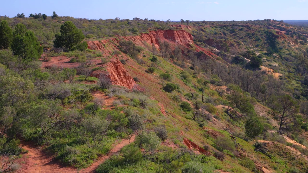 Le scogliere e le cime del fiume Murray rivelano un paesaggio naturale aspro, l'ambiente fluviale unico australiano. Terra rossa, boscaglia e alberi sparsi definiscono il terreno