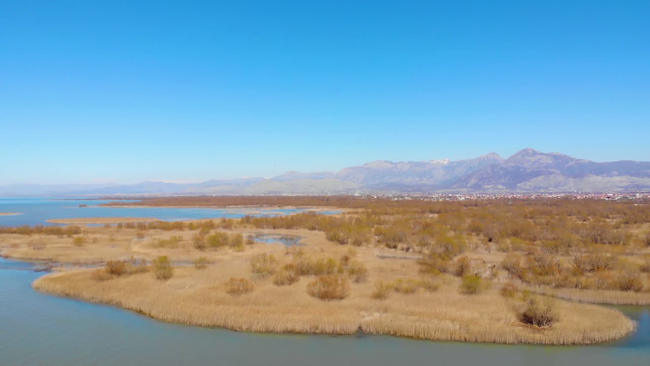 hermosa marisma con juncos secos amarillos a orillas de un lago tranquilo con ciudad y altas montañas bajo un cielo azul brillante