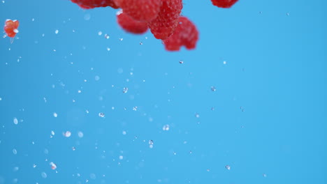 A-row-of-raspberries-and-water-launched-and-flying-in-air,-bumping