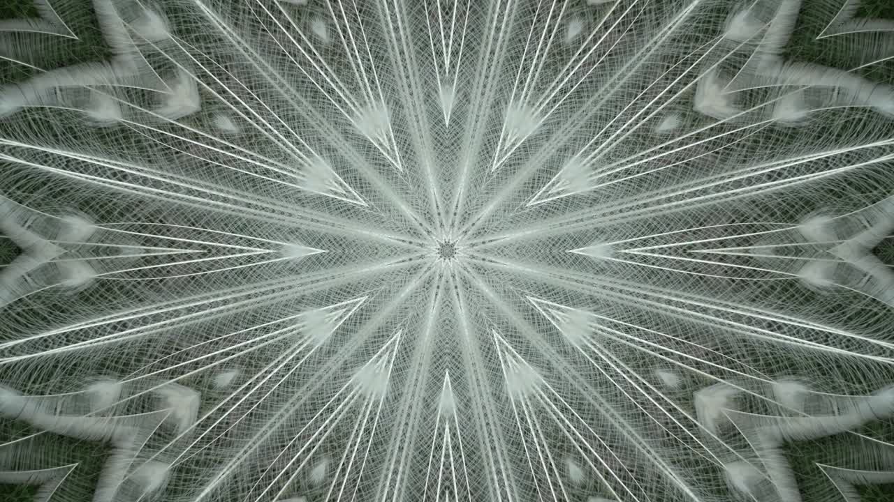 緑の背景に白い羽の万華鏡