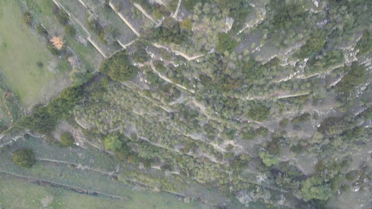 Explore the stunning beauty of Mallorca as lush greenery and rolling hills surround Arta. This captivating view captures the serene landscapes and vibrant nature of the region.