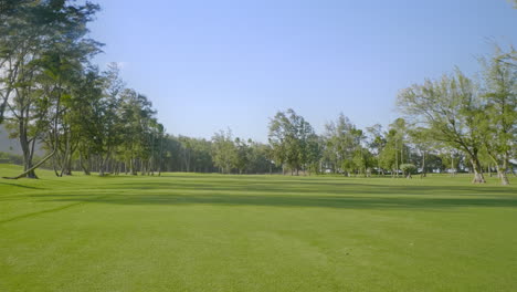 Vista-Estática-De-Un-Gran-Campo-De-Golf-Verde-Con-Hierba-Verde-Recortada,-árboles-Y-Palmeras