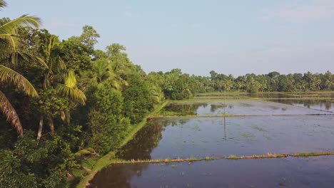 field edges, land prepared for cultivation ,the field has been plowed and watered for cultivation, rice fields in asia , high angle shot , aerial shoot