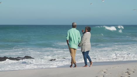 senior couple walking through the beach