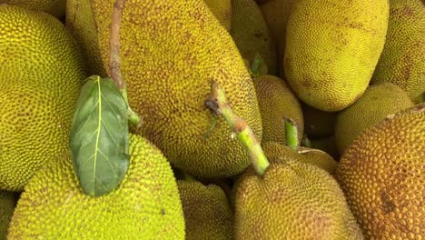 varios jackfruits en un solo lugar