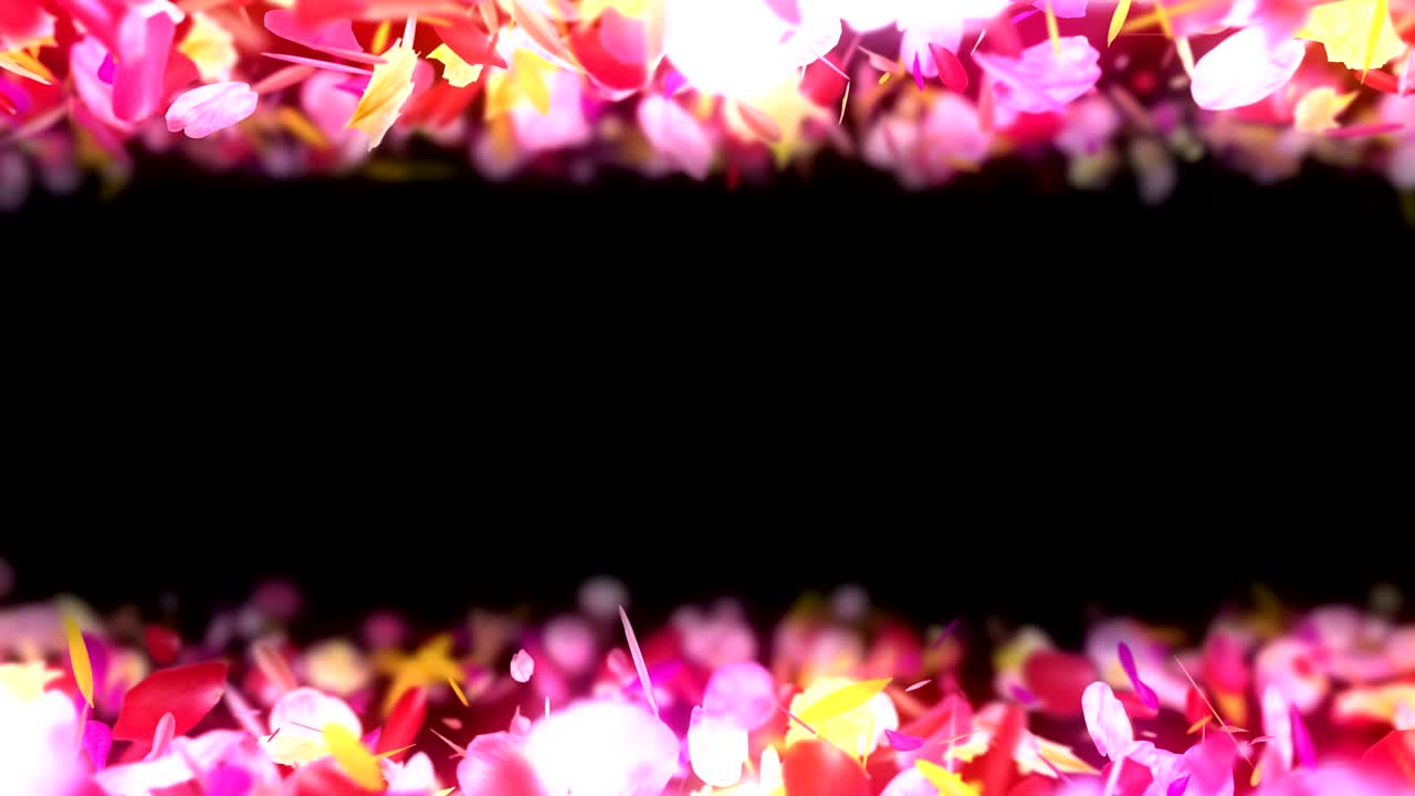 다채로운 꽃잎의 회전, cg 애니메이션, 입자, 루프
