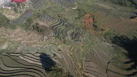 Aerial-drone-shot-of-bright-green-rice-terraces-in-the-mountains-of-Sapa,-Vietnam