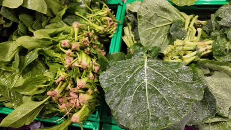 espinacas frescas y coles en la tienda de comestibles