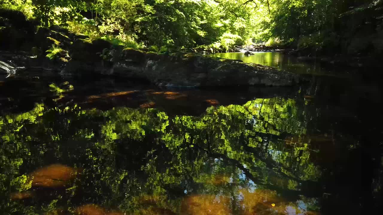 dardo del río en el borde del parque nacional de dartmoor en inglaterra, reino unido, que muestra la tranquilidad del río en los bosques