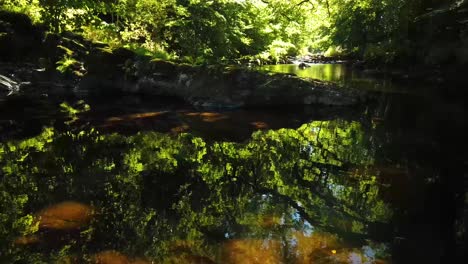 Dardo-Del-Río-En-El-Borde-Del-Parque-Nacional-De-Dartmoor-En-Inglaterra,-Reino-Unido,-Que-Muestra-La-Tranquilidad-Del-Río-En-Los-Bosques